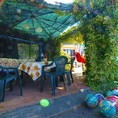 Anka 1223 Apartament